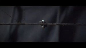 Как правильно настроить пип-сайт