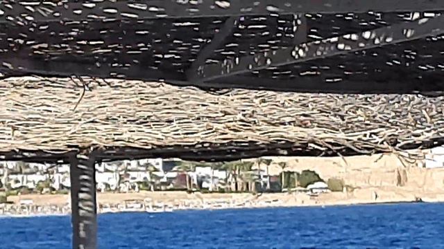 Море. Солнце. Волны. Relax. Камни на пляже. Пляж. Зонтики на пляже. Людей нет. смотреть онлайн