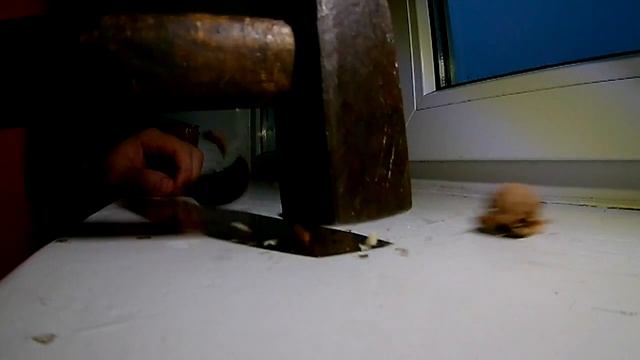 орех и молоток)))) смотреть онлайн