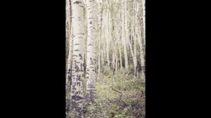 Булат Окуджава. Сборник. CD1