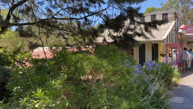 Explore Warrandyte in Melbourne | Old town story | Day trip | Weekend Vlog смотреть онлайн