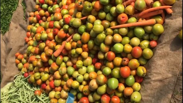 " Tomat, Si Kecil Bulat Kayak Manfaat " смотреть онлайн