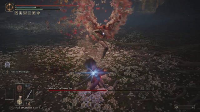 Malenia Fight (Let Me Solo Her Addition)