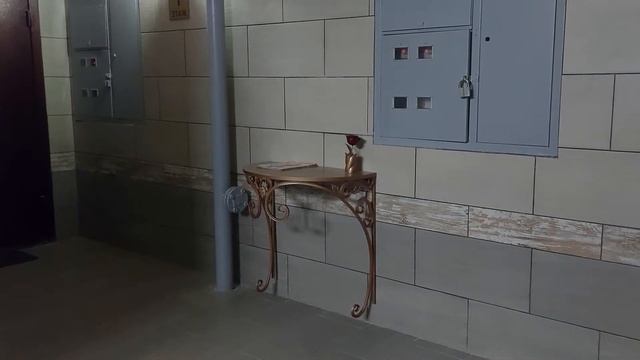 Обзор подъезда — ул. Димитрова, 67к1 смотреть онлайн