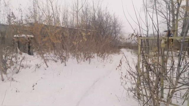 ЗАБРОШЕННЫЙ ЗАВОД | РАЗОБЛАЧЕНИЕ МЕСТНОЙ ЛЕГЕНДЫ ОБЕРНУЛОСЬ КОШМАРОМ | ЧЕМ ОПАСНЫ ЗАБРОШКИ ? смотреть онлайн