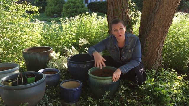 🌱 Planting Caladiums ~ Container Planting Under trees ~ Y Garden 🌱 смотреть онлайн