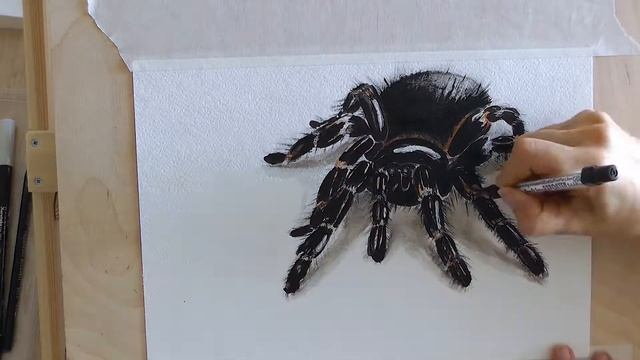 Рисую Паука 3d (акварель) смотреть онлайн