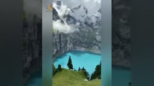 Шейх Мишари Рашид сура-56 Аль-Вакийа (Событие) #kuran#zakirnaik #kuran#sunnah#коран