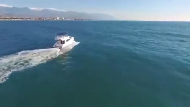 Аренда яхт в сочи | top-sochi смотреть онлайн