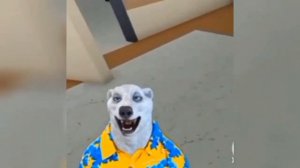 НАЙДЕНА ПРИЧИНА ОТМЕНЫ 27 НОЯБРЯ! | Ходилки Бродилки | 27 Ноября