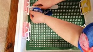 ПОДГОТОВКА ИНКУБАТОРА К РАБОТЕ. ДЕЗИНФЕКЦИЯ И ЗАКЛАДКА ЯИЦ. НАЧАЛО ИНКУБАЦИИ