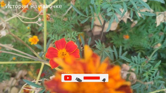 🙊 Они решили отдать квартиру брату, по одной причине, что он мужик ... История из жизни смотреть онлайн