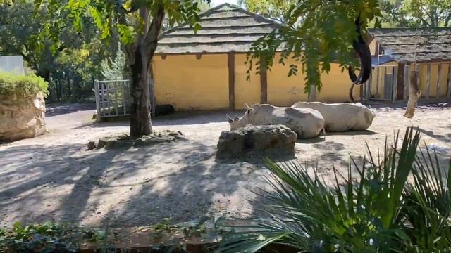 РИМСКИЙ ЗООПАРК: куда сходить с детьми в Риме? смотреть онлайн
