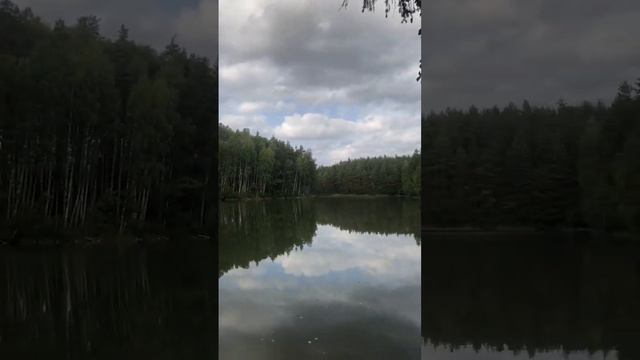 Природа Лен области смотреть онлайн