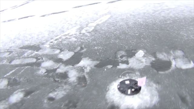 Первый лёд 2019г на линёвом озере! Рыбалка на жерлицы и мормышку. смотреть онлайн