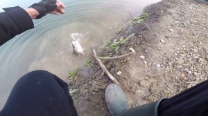 Zipbaits Khamsin 105SP-SR  Рыбалка на Платнике Озёра Краснодара.