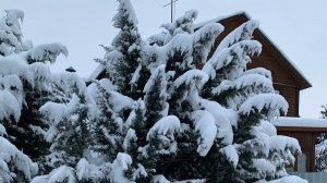 Кабы Волга-Матушка