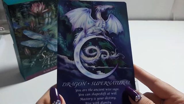 SPIRIT OF THE ANIMALS ORACLE ❤ Reseña/Review | Nadia Falak смотреть онлайн