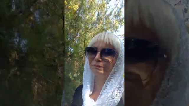 Мощи св. Сергия Радонежского в Ростове-на-Дону   ч 8