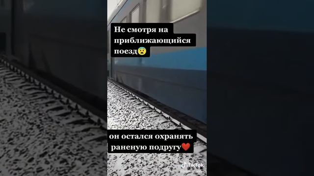 YouCut 20200326 ПОБОЛЬШЕ БЫ ТАКИХ ЛЮДЕЙ!!!! смотреть онлайн