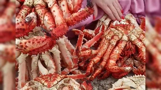 Рыбалка на камбалу, Взморье, 25 мая 2024 года смотреть онлайн