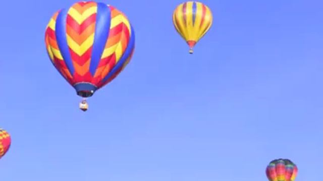 broken reeds смотреть онлайн