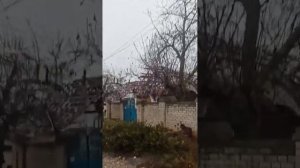 Антоновка Херсон 9.12.2022