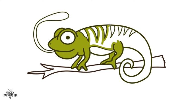 ХАМЕЛЕОН / Как нарисовать ХАМЕЛЕОНА / Раскраска / Краски Раскраски / How to draw an chameleon смотреть онлайн