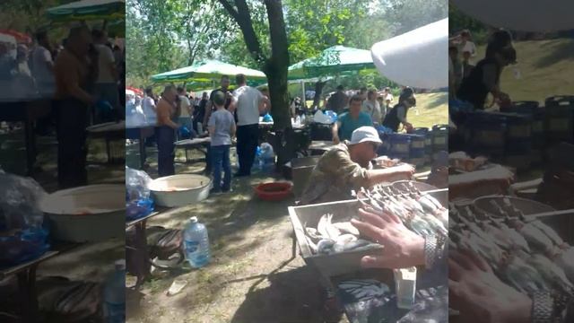 Праздник донской селедки Рыба крупно. смотреть онлайн