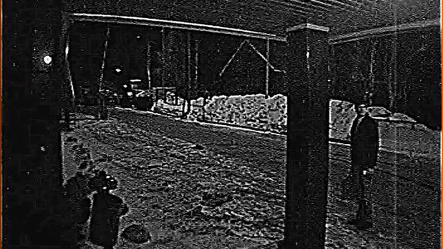 лотос центр. Сыкуны вернулись смотреть онлайн