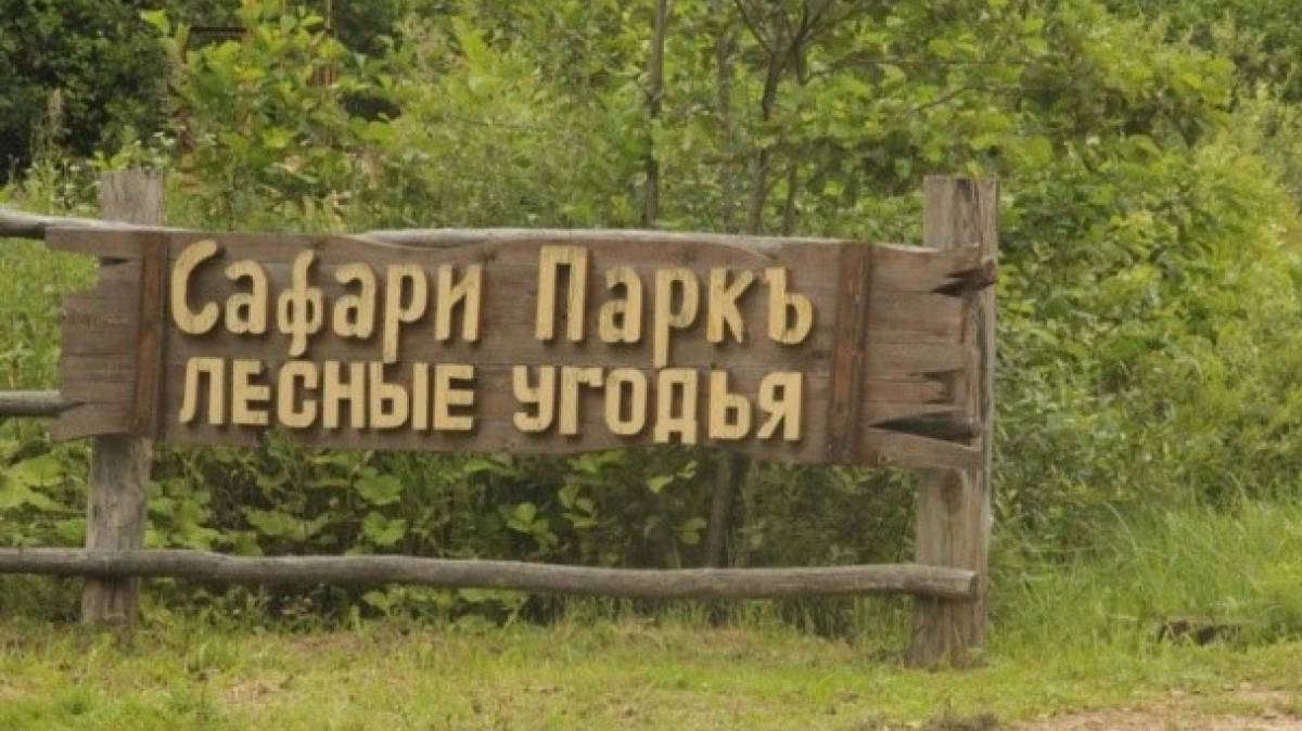Отдохнули все! смотреть онлайн