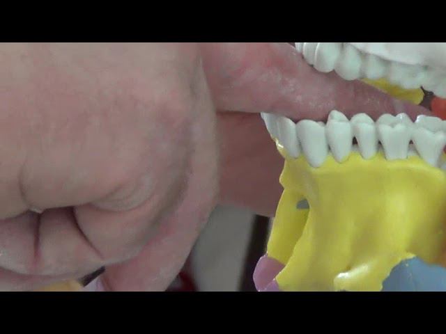 Семинар Краниосакральная терапия 2 КСТ2_011 смотреть онлайн