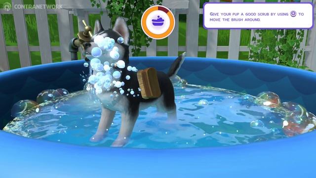 Little Friends: Puppy Island on Nintendo Switch | Gameplay смотреть онлайн