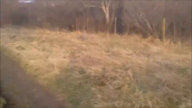 Вилна зона Димово смотреть онлайн