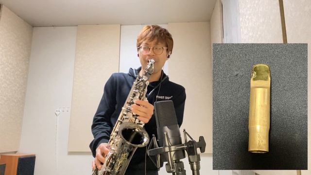 【Lebayle Metal】Candy Dulfer使用で有名リバイユメタル吹き比べ（ビーチラー） смотреть онлайн