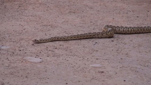 Путешествие по Западу США. 2015. Часть 1. Штат Юта. смотреть онлайн