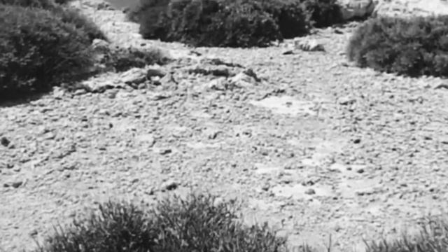 Melancholic Diaries of the Post Soviet Girl. Part 2 "Identity Crisis" смотреть онлайн