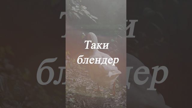 Сходил ... смотреть онлайн