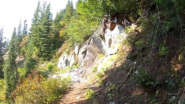 Chimpology смотреть онлайн