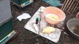 Как сделать лечебное канди для профилактики нозематоза