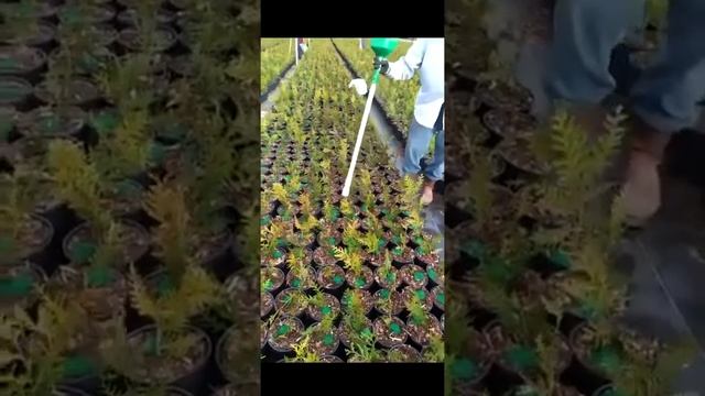 Fertileeze Tap 'n Feed from BWI Companies, Inc смотреть онлайн