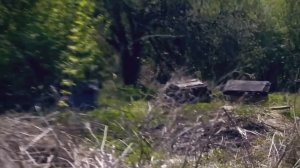 Песня про деревню 2022 ✮ Слеза скатилась - Александр Закшевский