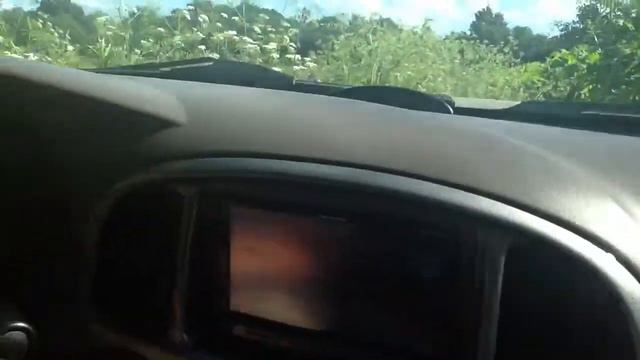 Секвоя борется с борщевиком смотреть онлайн