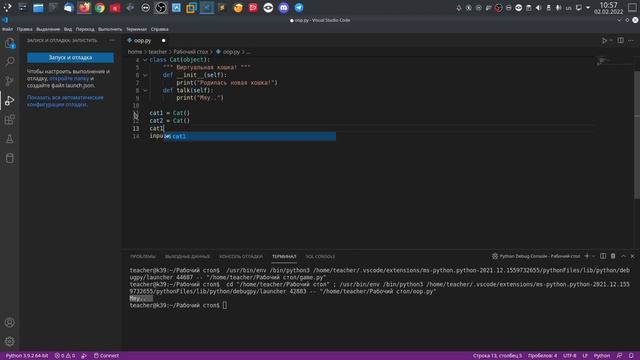 Объектно-ориентированное программирование в Python. смотреть онлайн