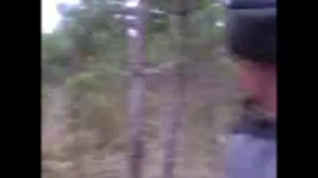 Дикие кабаны на пикнике смотреть онлайн