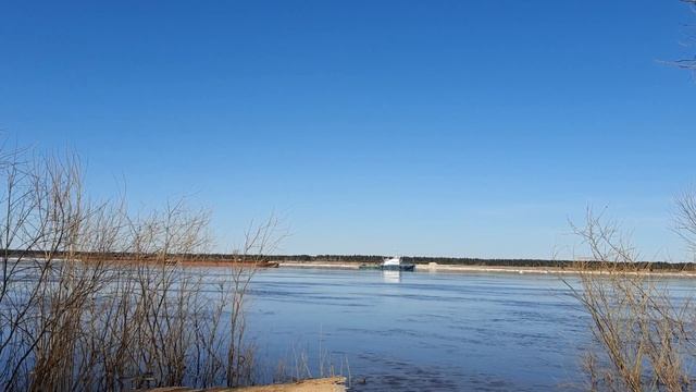 20 апреля.На Северной Двине у Березника первые движения.Катер ведет баржи к Ваге.Река работает. смотреть онлайн