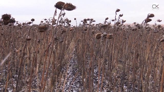 Захват земли может довести до уголовного дела смотреть онлайн