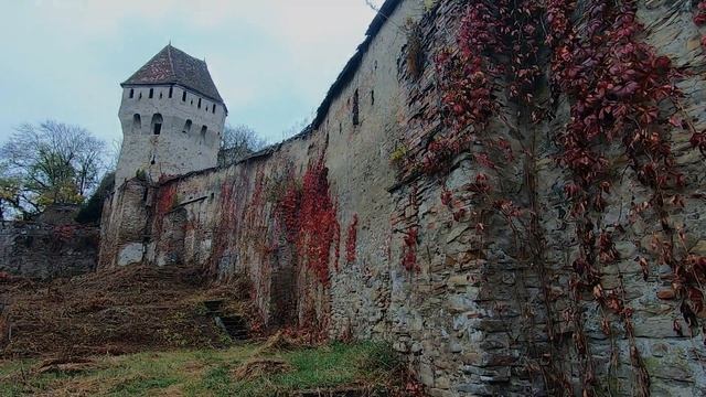 Путешествие по Румынии. Маленький обзор города Сигишоара. Румыния. Sighișoara. România. смотреть онлайн