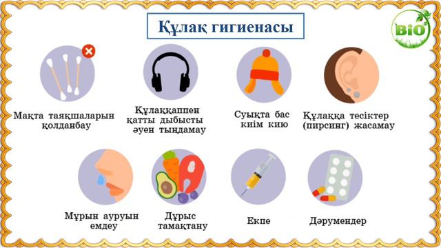 Есту мүшесінің құрылысы мен гигиенасы 8-сынып смотреть онлайн