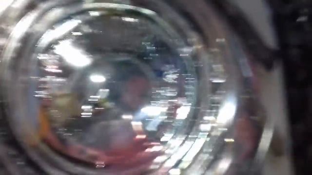 Что будет с мухой в микроволновке? смотреть онлайн